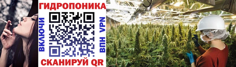 где можно купить   Спасск-Дальний  Марихуана конопля 